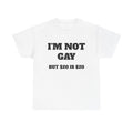 "I'm Not Gay But $20 is $20" T-Shirt